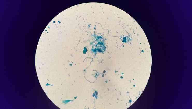 貴陽生物實(shí)驗(yàn)中心